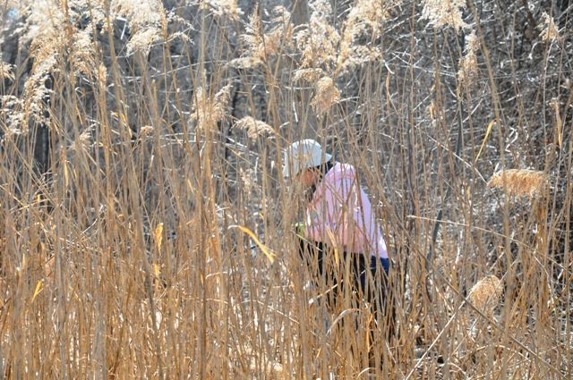 A helper cleaning up in the grass